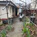 Berceni, Luica, teren cu casa de vanzare.